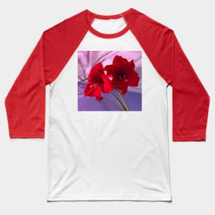 Red Amaryllis Flowers Baseball T-Shirt